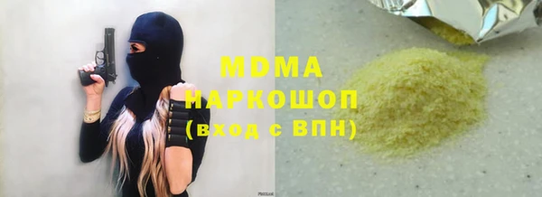 индика Алексин