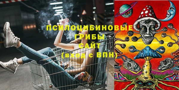 индика Алексин