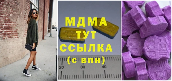 индика Алексин