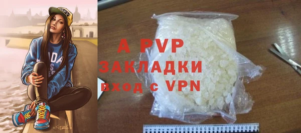 индика Алексин