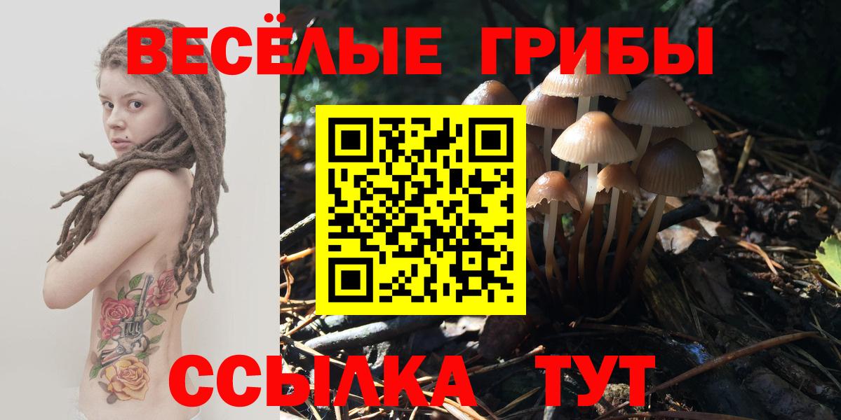 Псилоцибиновые грибы Psilocybine cubensis Морозовск