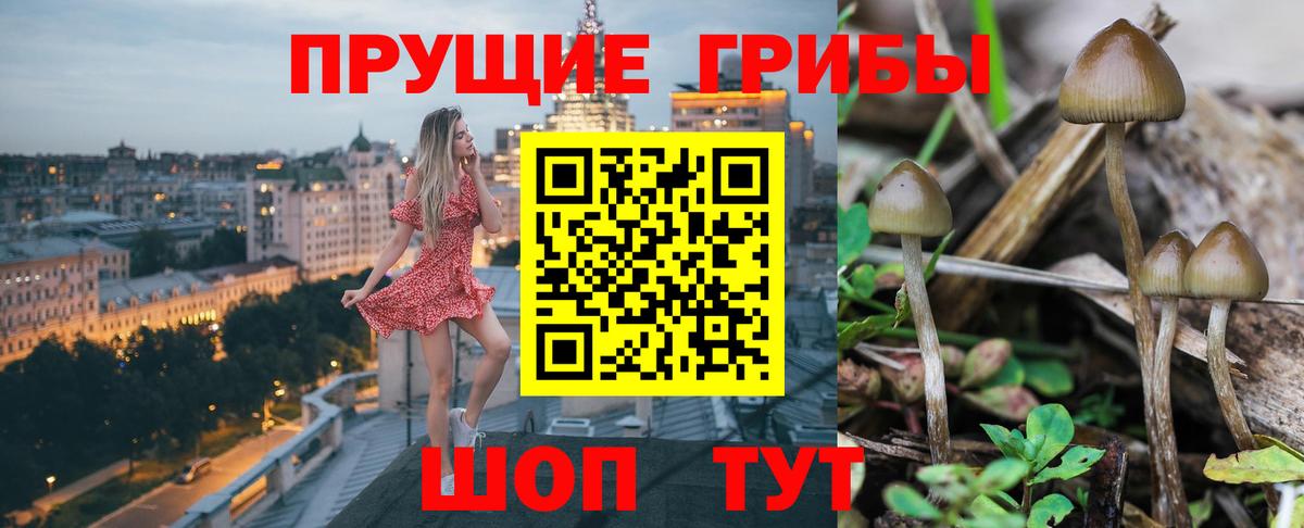 Псилоцибиновые грибы ЛСД  Галлюциногенные грибы MAGIC MUSHROOMS  Морозовск  Вход с VPN 